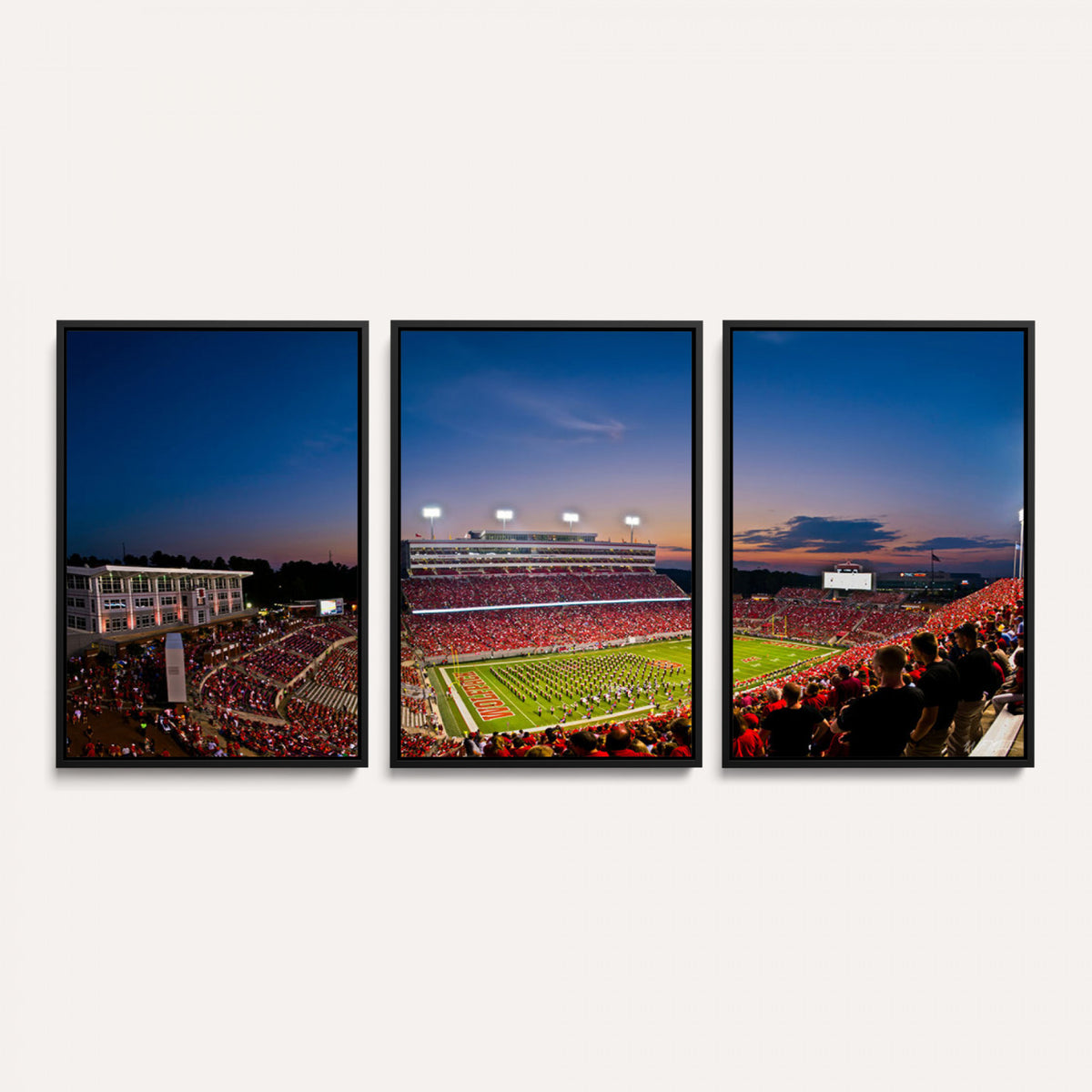 33313-MGV-CV-36X24 - NC State Wolfpack Football Team Print - Raleigh Carter-Finley Stadium Wall Art Canvas Print