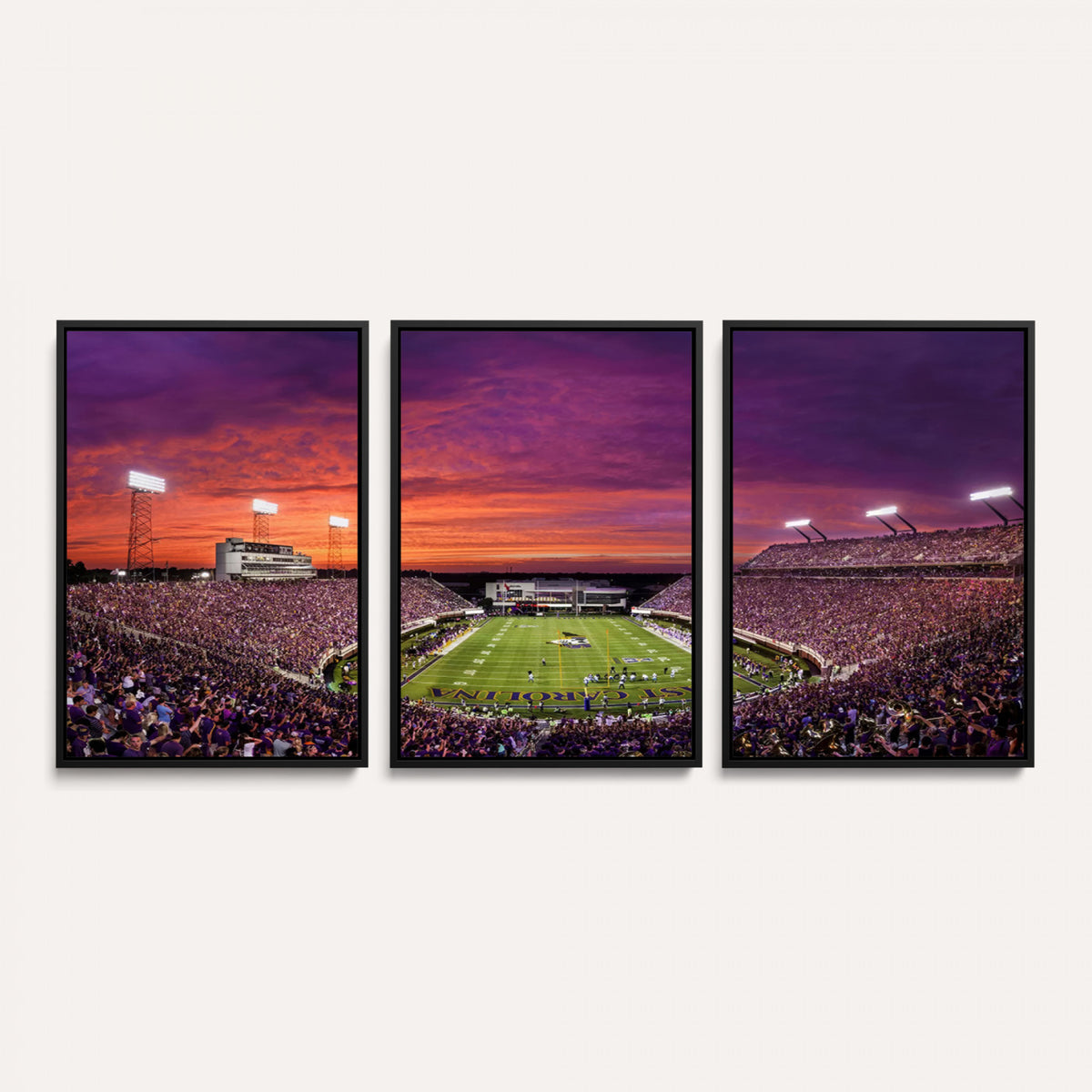 88575-MGV-CV-36X24 - East Carolina University Pirates Football Print Canvas- Greenville Dowdy-Ficklen Stadium Wall Art