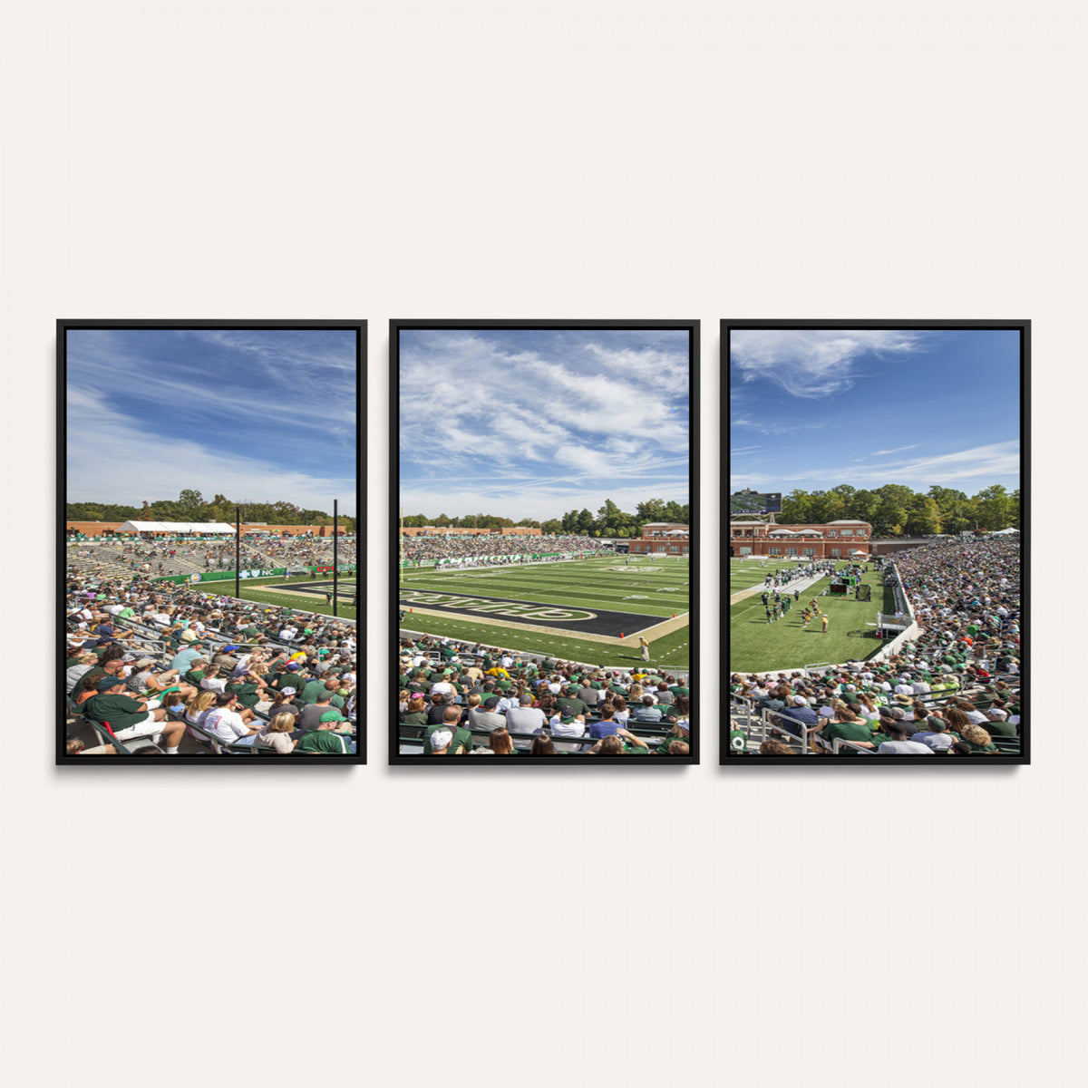 67799-MGV-CV-36X24 - University of Charlotte 49ers Football Team Print - Charlotte Jerry Richardson Stadium Canvas Print