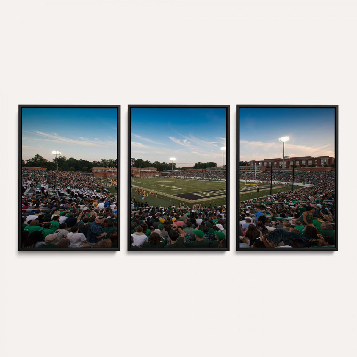 12290-MGV-CV-36X24 - University of Charlotte 49ers Football Team Print - Charlotte Jerry Richardson Stadium Wall Art