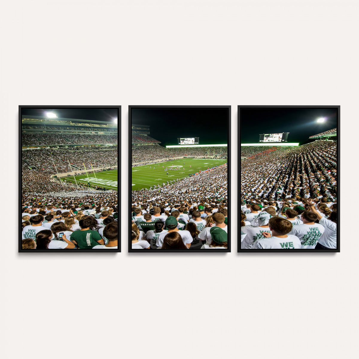 30457-PAN-FL-20X10 - Michigan State Spartans Football Canvas Print - East Lansing Spartan Stadium Wall Art Canvas Print