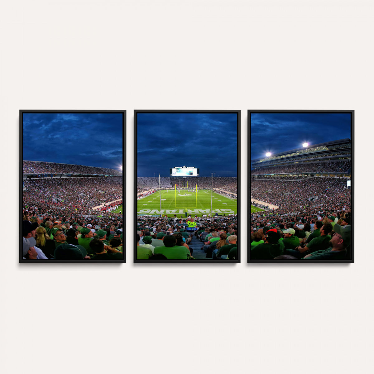 35248-PAN-FL-20X10 - Michigan State Spartans Football Team Print - East Lansing Spartan Stadium Wall Art Canvas Print