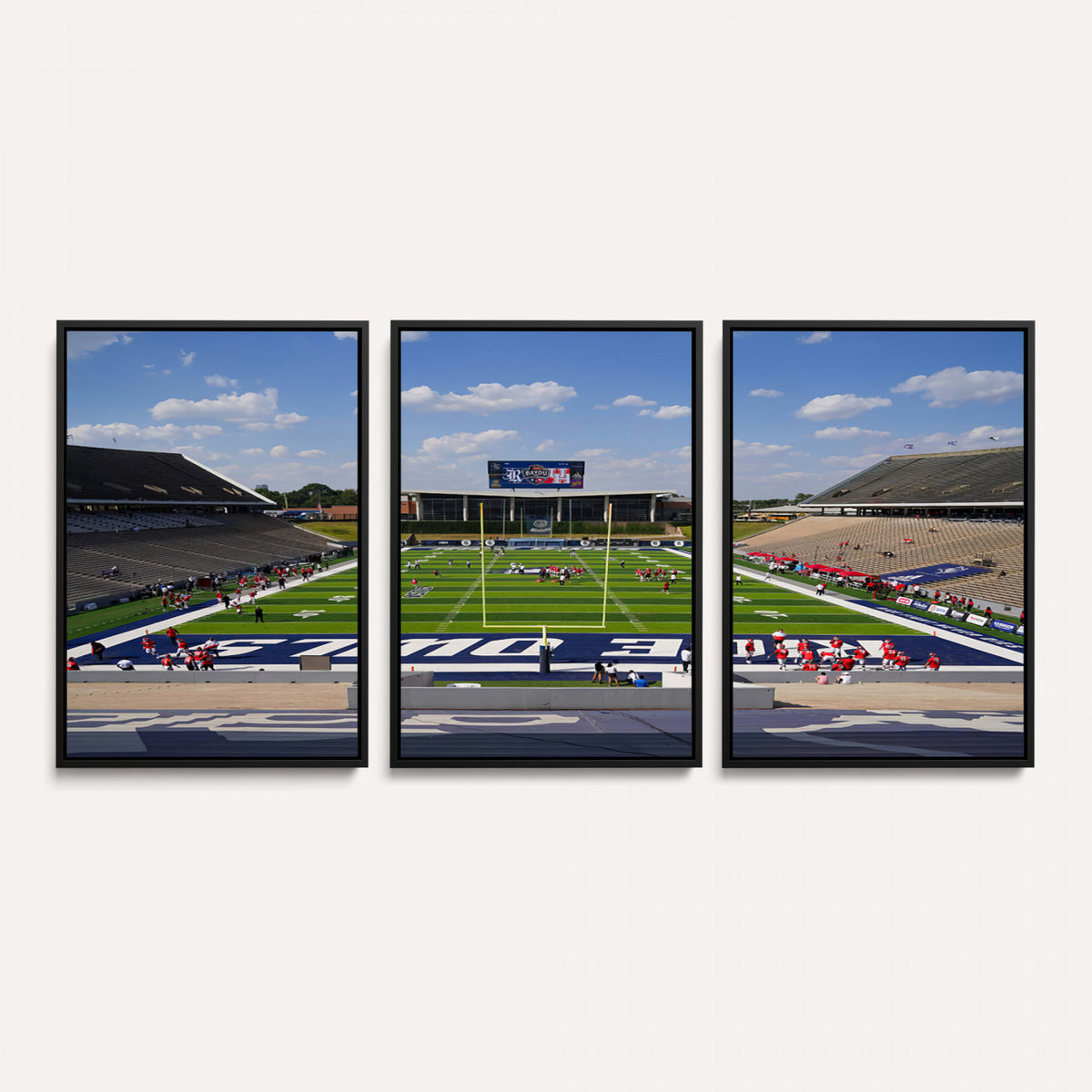 92248-MGV-CV-36X24 - Rice University Owls Football Team Print, Houston Rice Stadium