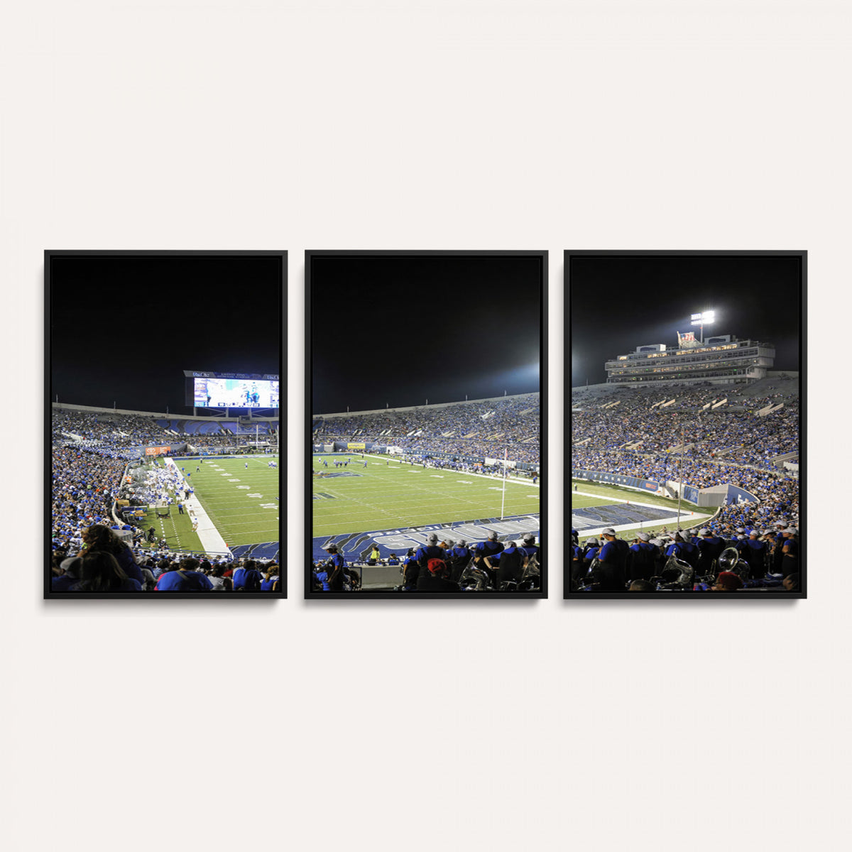10894-PAN-FL-20X10 - University of Memphis Tigers Football Team Print - Memphis Simmons Bank Liberty Stadium Wall Art