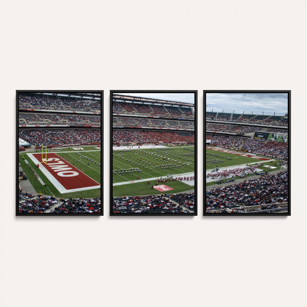 15310-PAN-FL-20X10 - The Temple University Owls Athletics Team Print - Philadelphia Lincoln Financial Field Stadium Wall