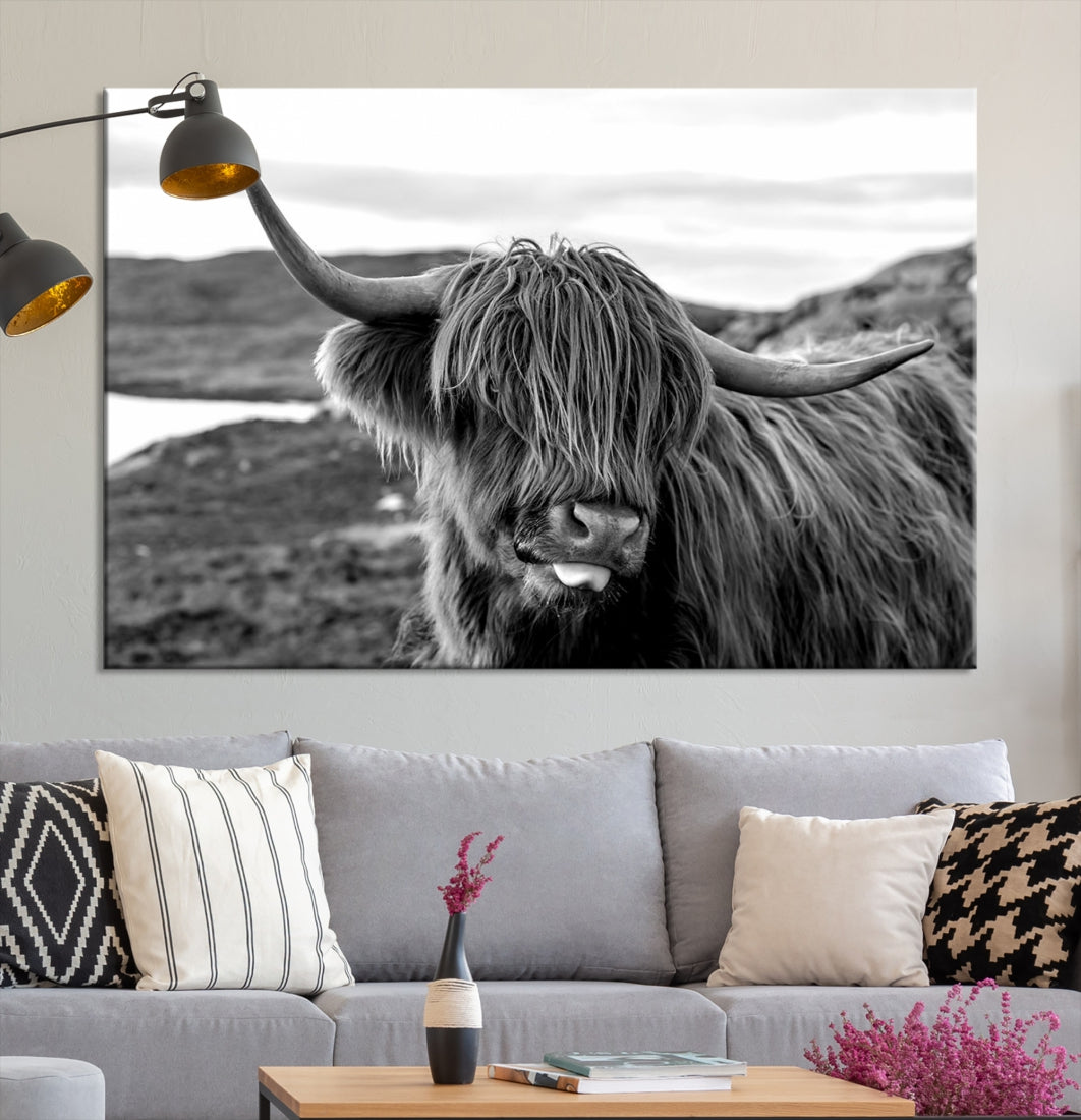 Scottish Highland Cow Cattle Art Print Farmhouse Wall Art Canvas Print