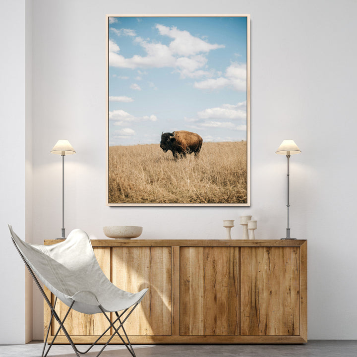 Bison Photography Wall Art Canvas Print: Framed Western Landscape Art