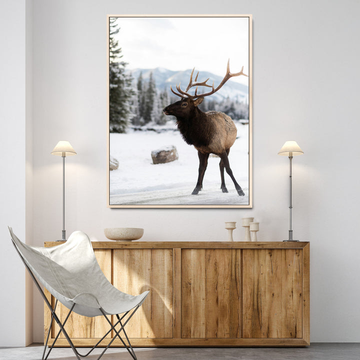 Elk Photography Wall Art Canvas Print, Framed Winter Wildlife Art Picture Print, Snowy Mountains Perfect Rustic Cabin Decor Decor Artwork