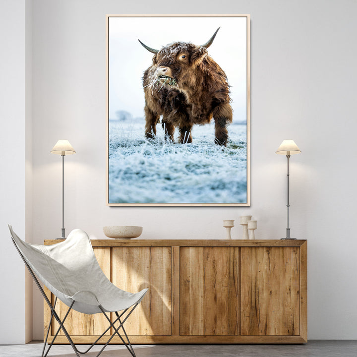 Minimalist Scottish Highlang Cow Wall Art Canvas Print for Farmhouse / County Style Art Print for Living Room - Office Decor