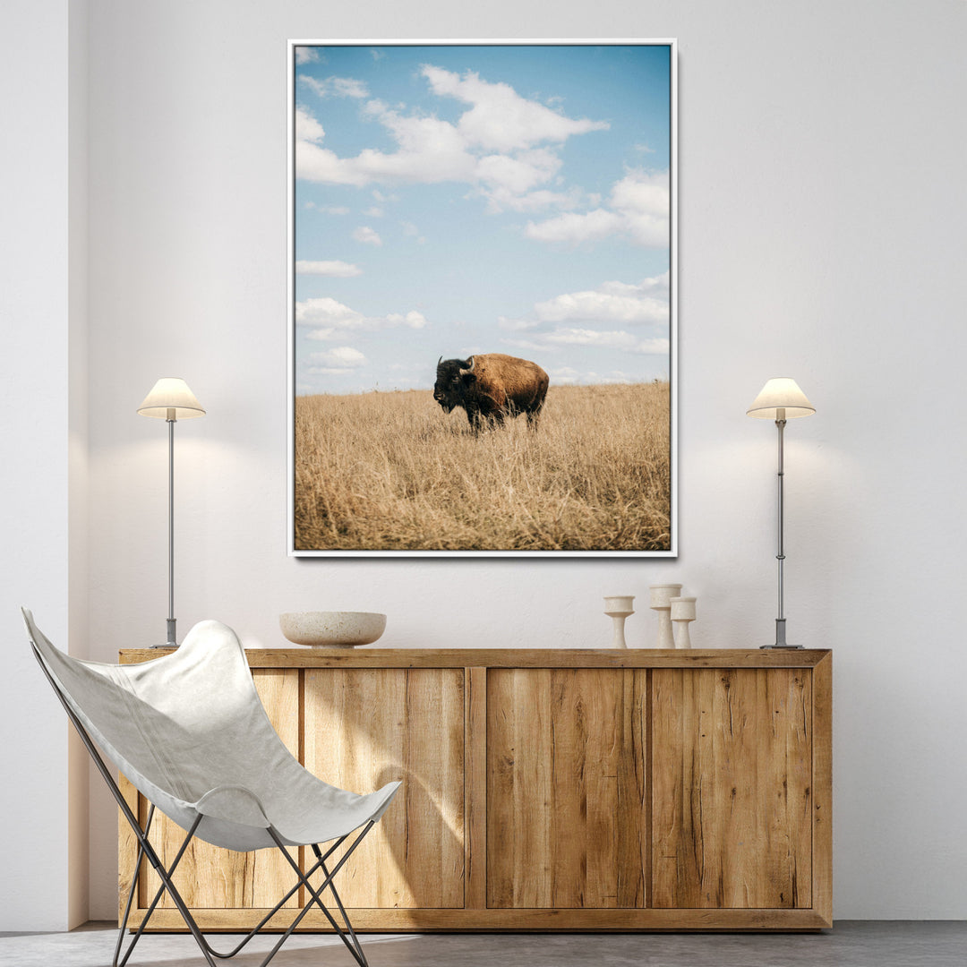 Bison Photography Wall Art Canvas Print: Framed Western Landscape Art