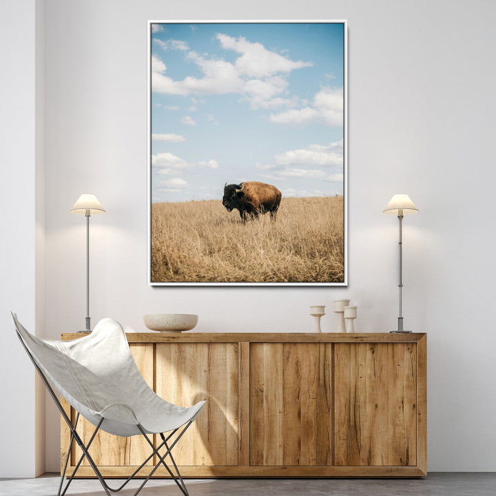Bison Photography Wall Art Canvas Print: Framed Western Landscape Art
