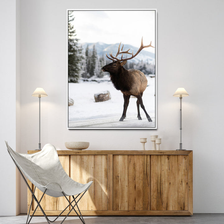 Elk Photography Wall Art Canvas Print, Framed Winter Wildlife Art Picture Print, Snowy Mountains Perfect Rustic Cabin Decor Decor Artwork