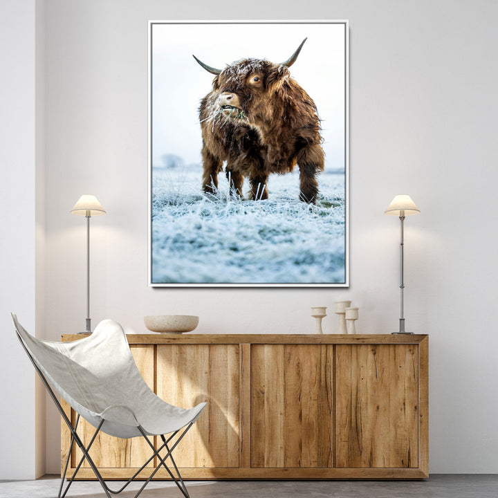 Minimalist Scottish Highlang Cow Wall Art Canvas Print for Farmhouse / County Style Art Print for Living Room - Office Decor