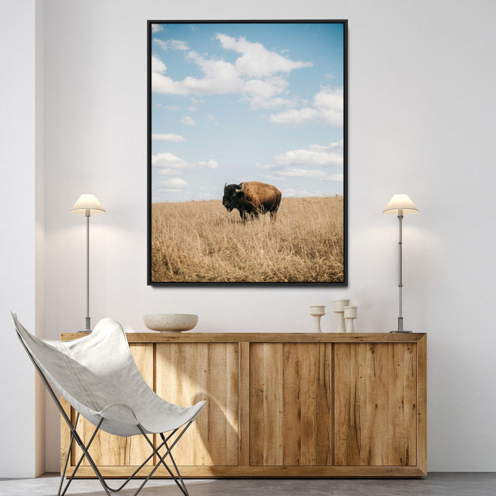 Bison Photography Wall Art Canvas Print: Framed Western Landscape Art