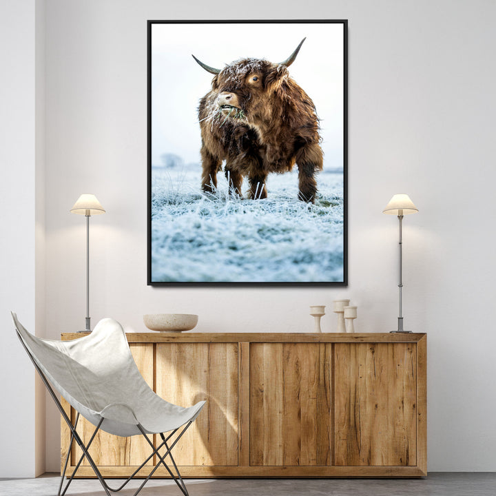 Minimalist Scottish Highlang Cow Wall Art Canvas Print for Farmhouse / County Style Art Print for Living Room - Office Decor