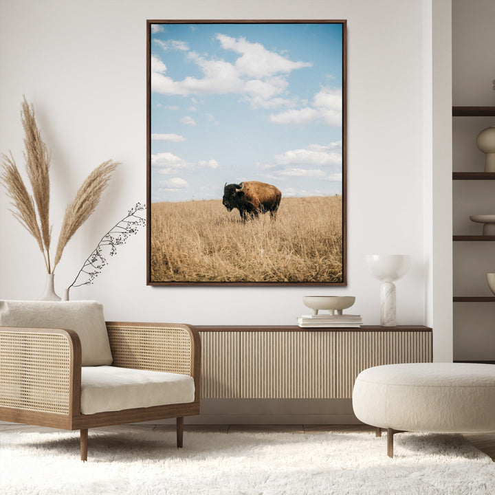 Bison Photography Wall Art Canvas Print: Framed Western Landscape Art