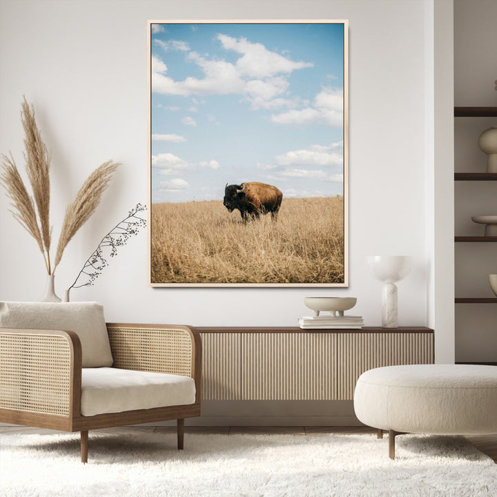 Bison Photography Wall Art Canvas Print: Framed Western Landscape Art