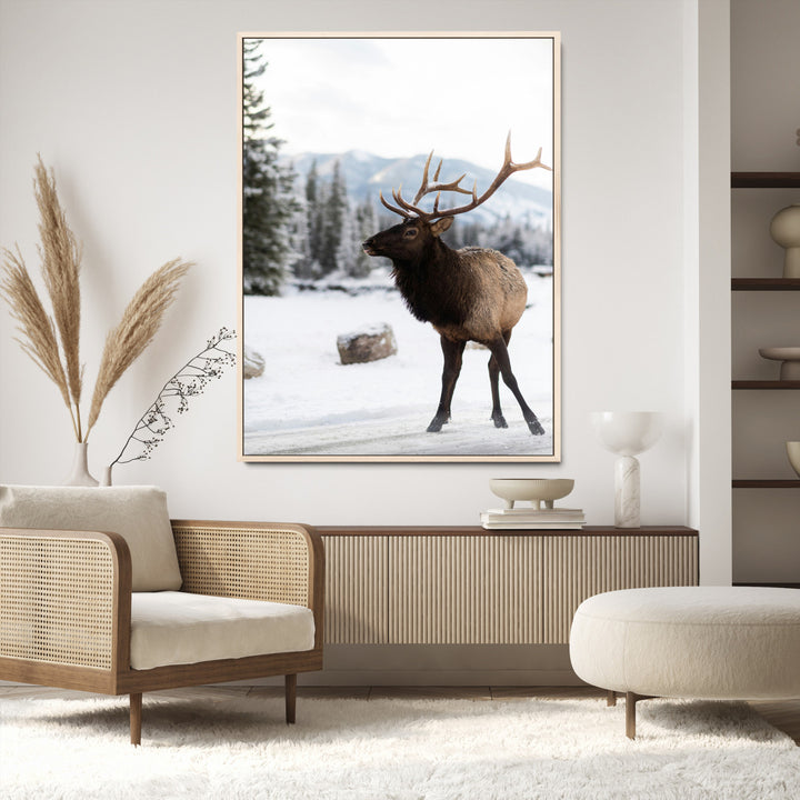 Elk Photography Wall Art Canvas Print, Framed Winter Wildlife Art Picture Print, Snowy Mountains Perfect Rustic Cabin Decor Decor Artwork