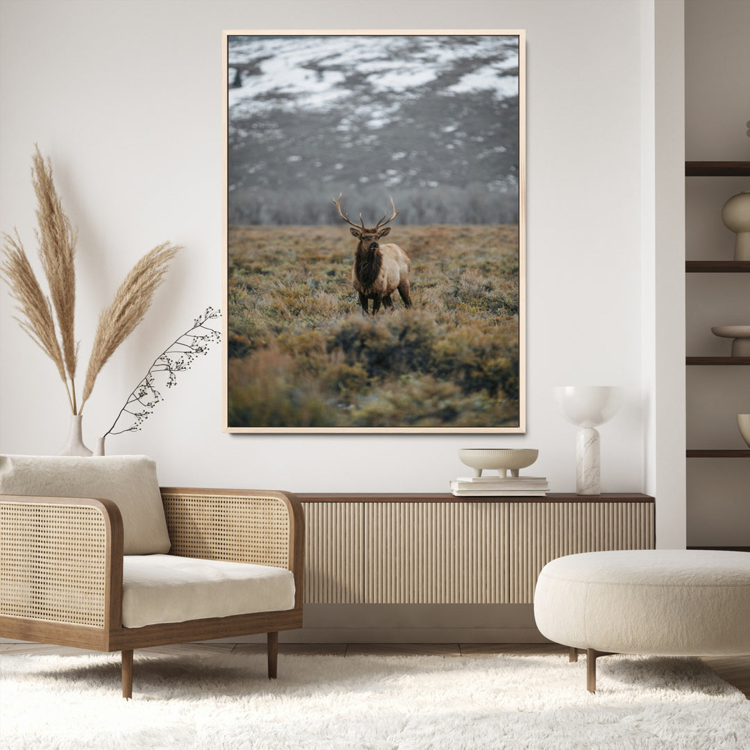 Wild Elk Wall Art Canvas Print, Mountain Wilderness Print, Framed Majestic Animal Art Print, Large Rustic Wildlife Wall Art Printing