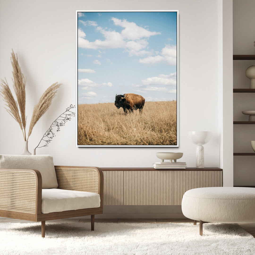 Bison Photography Wall Art Canvas Print: Framed Western Landscape Art