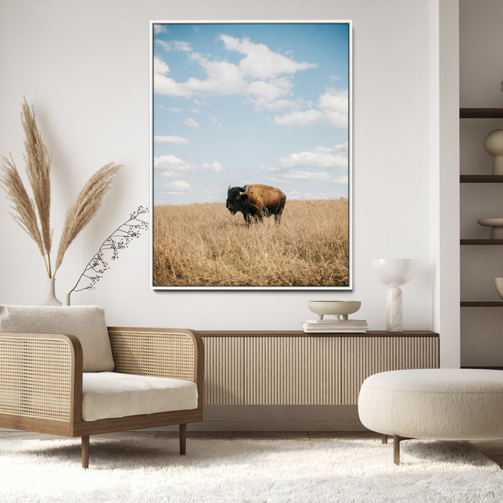 Bison Photography Wall Art Canvas Print: Framed Western Landscape Art
