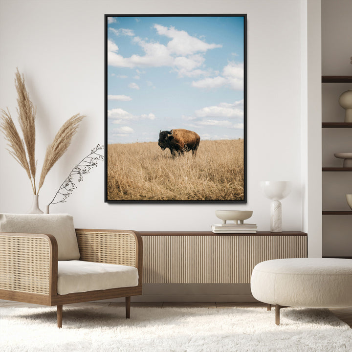 Bison Photography Wall Art Canvas Print: Framed Western Landscape Art