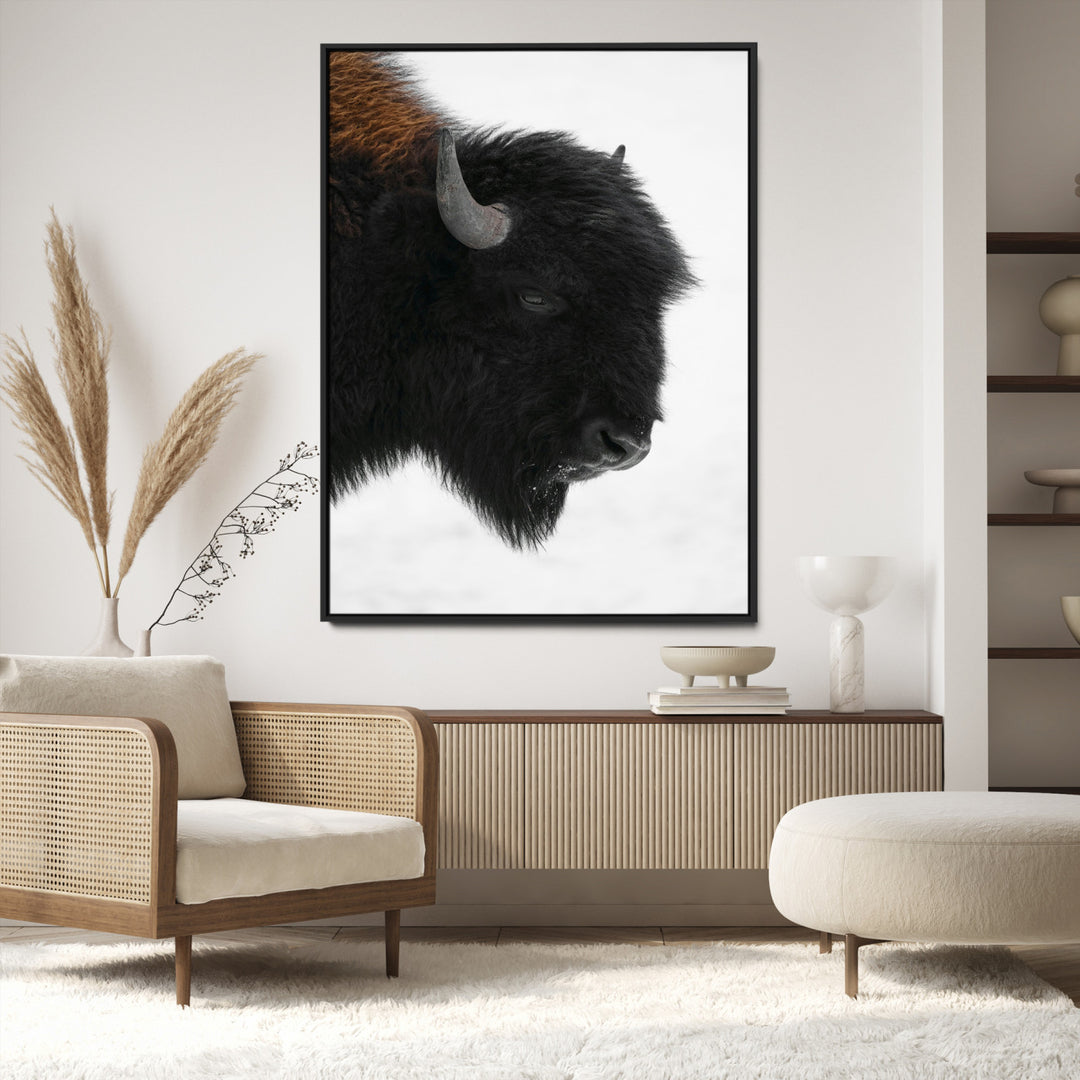 Western Rustic Wall Art Canvas Print, Framed Buffalo Photography Art Picture Print, Black and White Wildlife Perfect Modern Ranch Decor