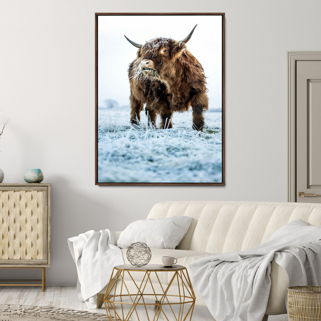 Minimalist Scottish Highlang Cow Wall Art Canvas Print for Farmhouse / County Style Art Print for Living Room - Office Decor