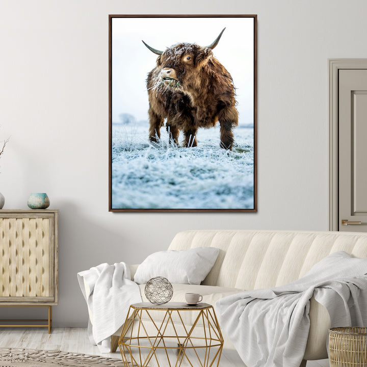 Minimalist Scottish Highlang Cow Wall Art Canvas Print for Farmhouse / County Style Art Print for Living Room - Office Decor