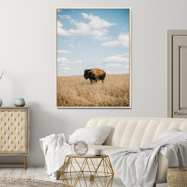 Bison Photography Wall Art Canvas Print: Framed Western Landscape Art
