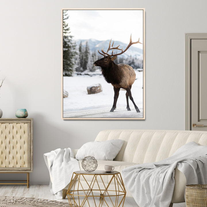Elk Photography Wall Art Canvas Print, Framed Winter Wildlife Art Picture Print, Snowy Mountains Perfect Rustic Cabin Decor Decor Artwork