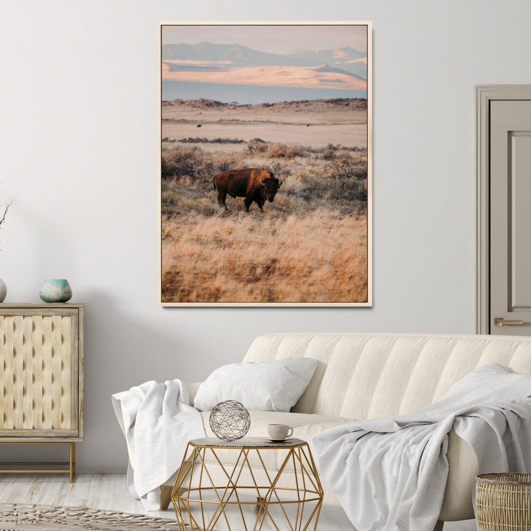 Solitary Buffalo Wall Art Canvas Print, Framed Golden Prairie Art Picture Print, Earthy Tones Perfect Rustic Western Decor Artwork