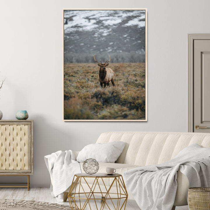 Wild Elk Wall Art Canvas Print, Mountain Wilderness Print, Framed Majestic Animal Art Print, Large Rustic Wildlife Wall Art Printing