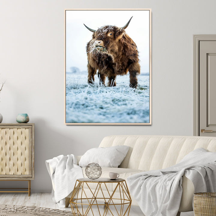 Minimalist Scottish Highlang Cow Wall Art Canvas Print for Farmhouse / County Style Art Print for Living Room - Office Decor