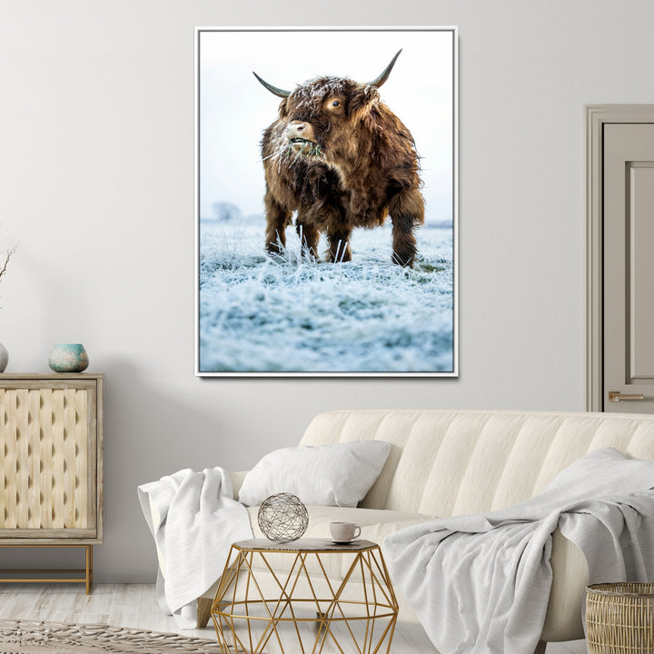 Minimalist Scottish Highlang Cow Wall Art Canvas Print for Farmhouse / County Style Art Print for Living Room - Office Decor