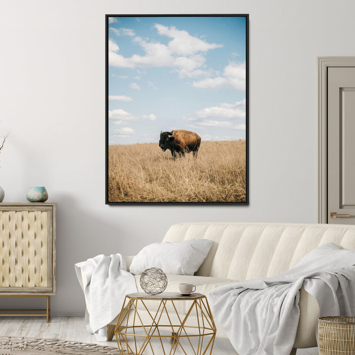 Bison Photography Wall Art Canvas Print: Framed Western Landscape Art