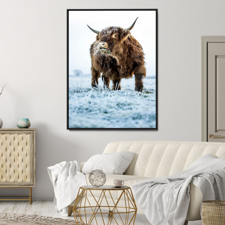 Minimalist Scottish Highlang Cow Wall Art Canvas Print for Farmhouse / County Style Art Print for Living Room - Office Decor