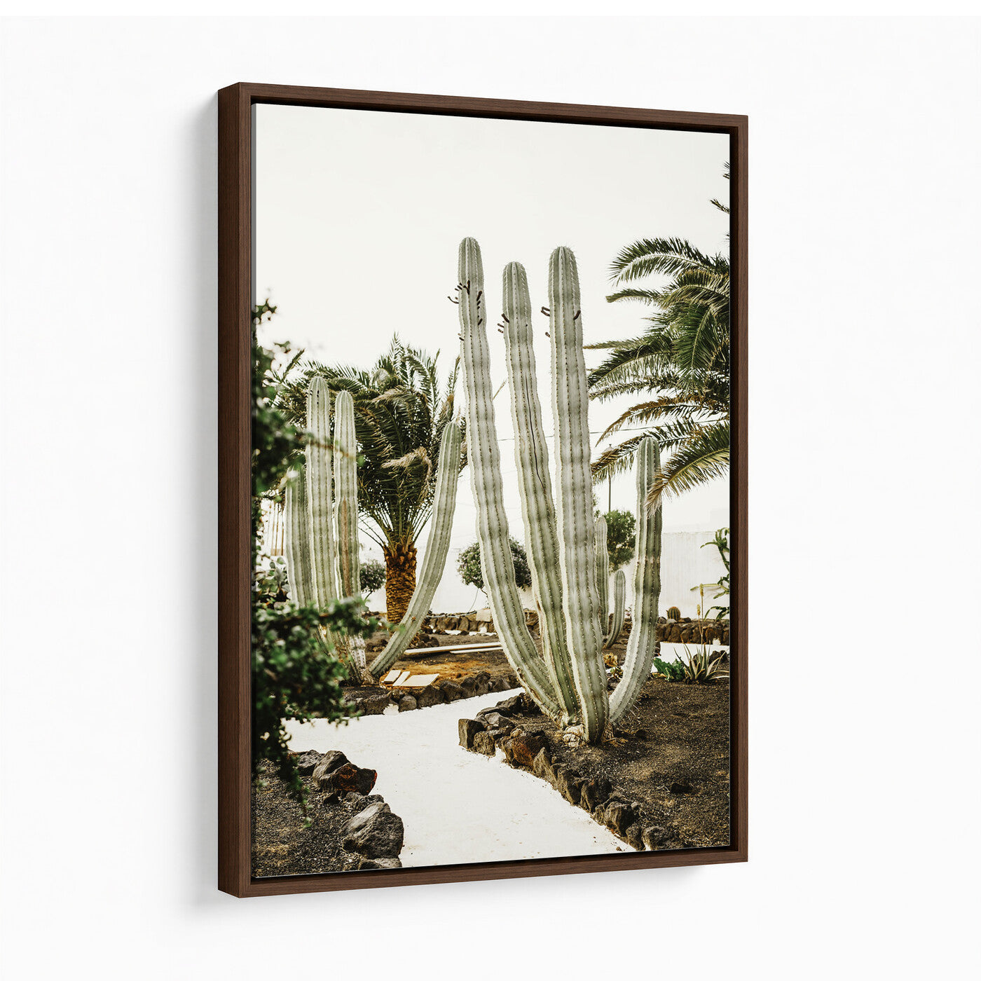 10167832-MGV-CV-24X36 - Cactus Garden Lanzarote Spain Wall Art Canvas Print - Cesar Manrique Desert Oasis Painting