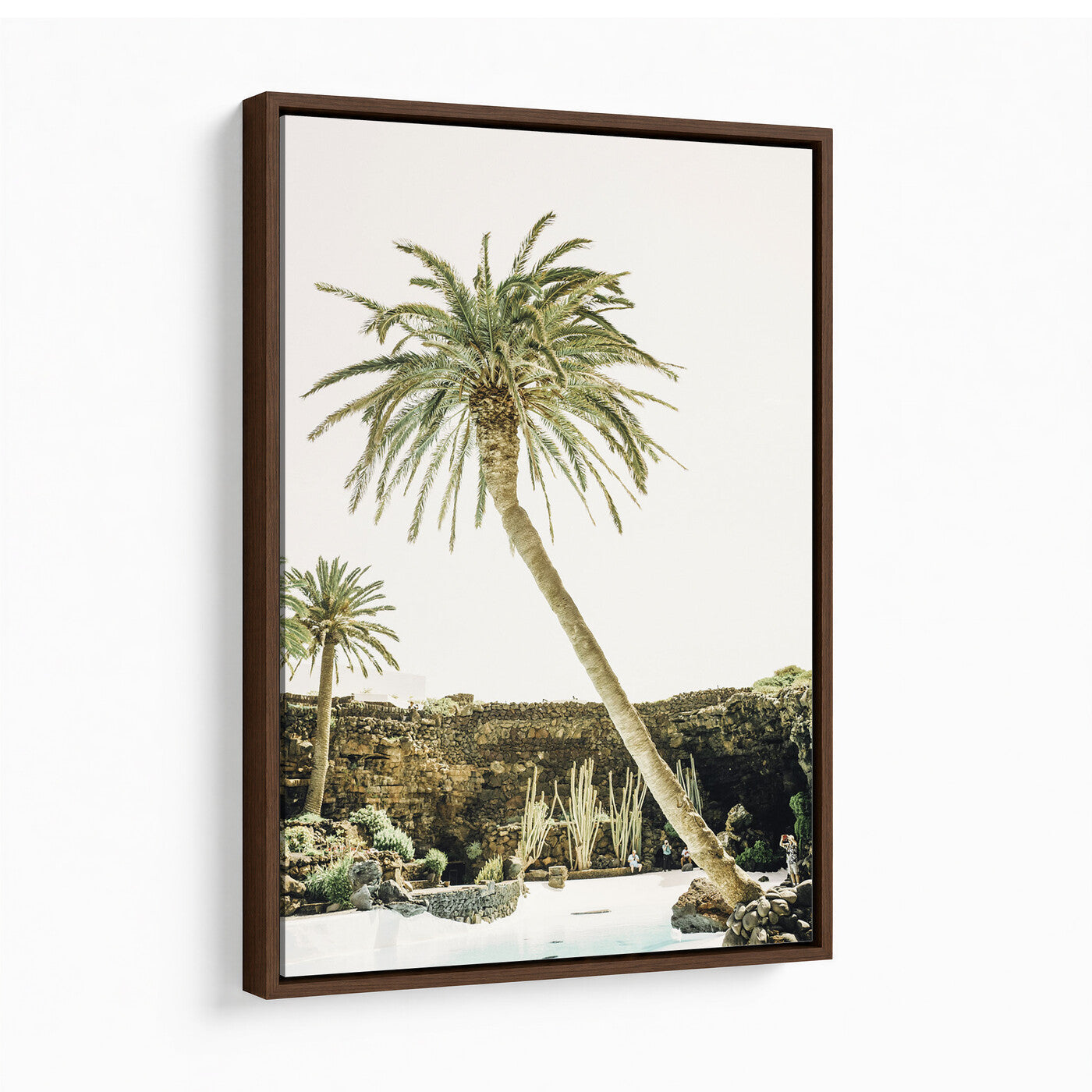 34739415-MGV-CV-24X36 - Jameos del Agua Lanzarote Spain Wall Art Canvas Print - Volcanic Oasis Palm Tree Pool