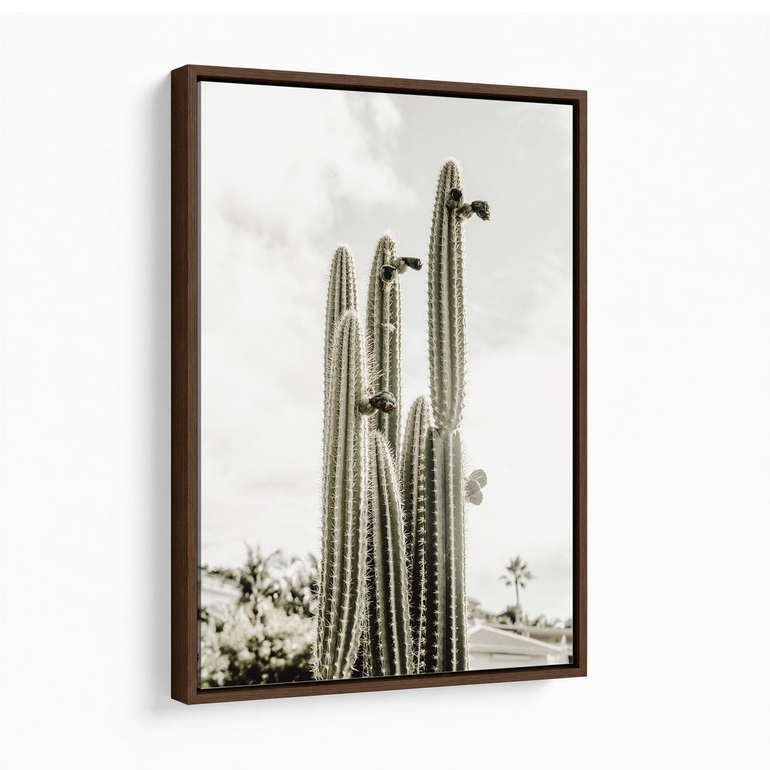 Tall Saguaro Cactus in Desert Sun Wall Art Canvas Print, Minimalist Boho Botanical Decor