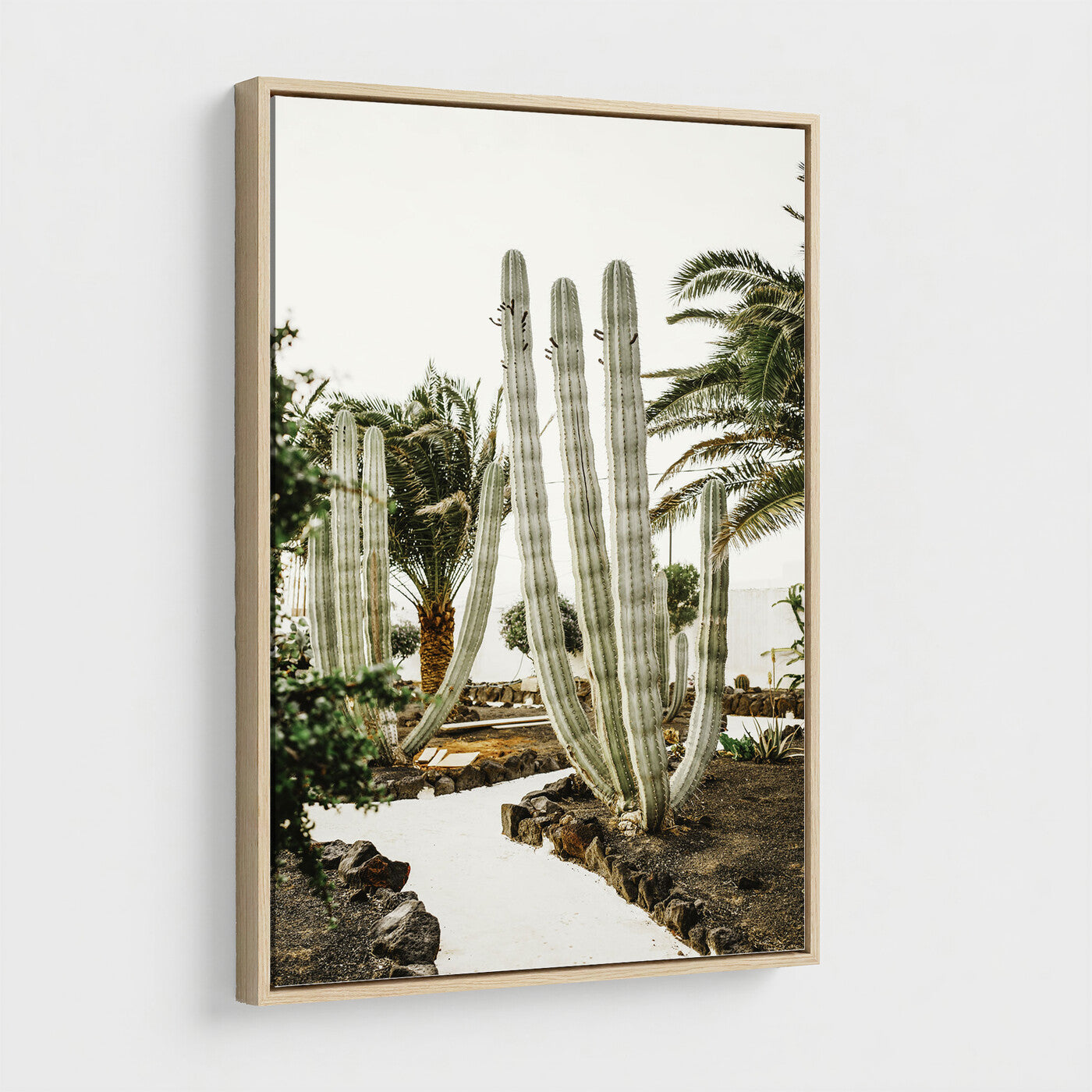 10167832-MGV-CV-24X36 - Cactus Garden Lanzarote Spain Wall Art Canvas Print - Cesar Manrique Desert Oasis Painting