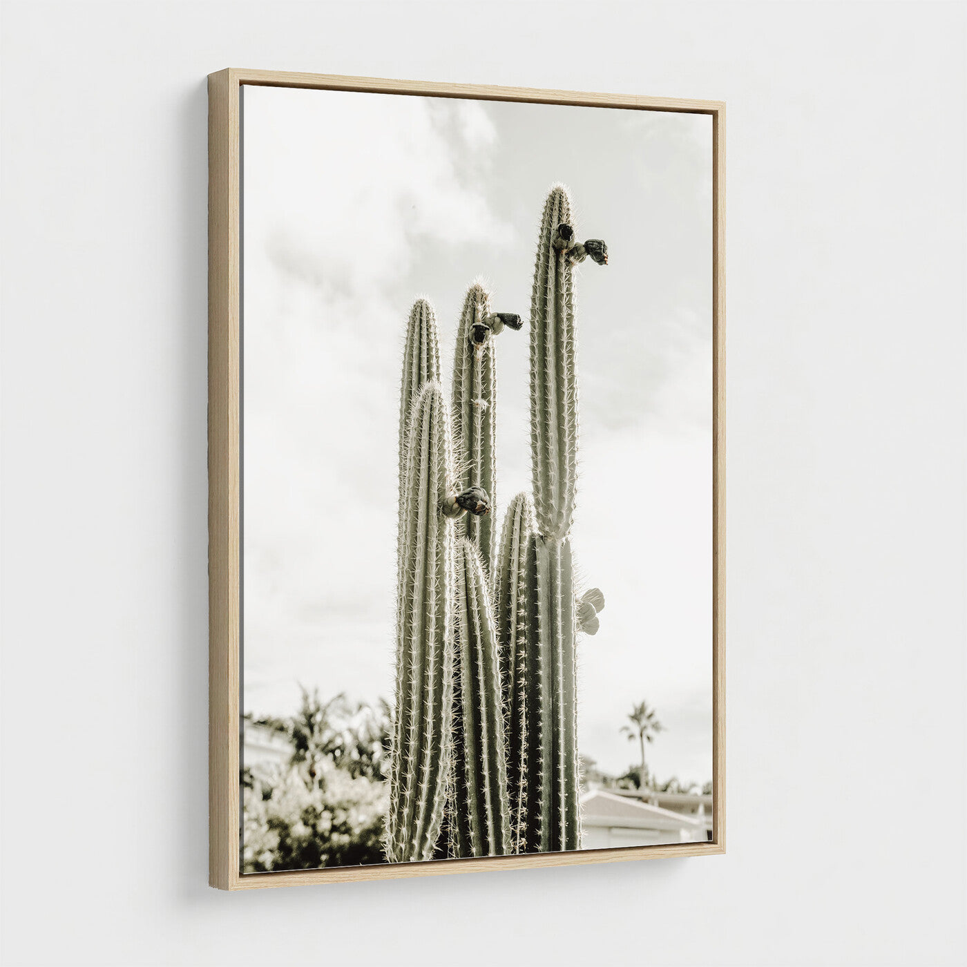 79942620-MGV-CV-24X36 - Tall Saguaro Cactus in Desert Sun Wall Art Canvas Print - Minimalist Boho Botanical Decor