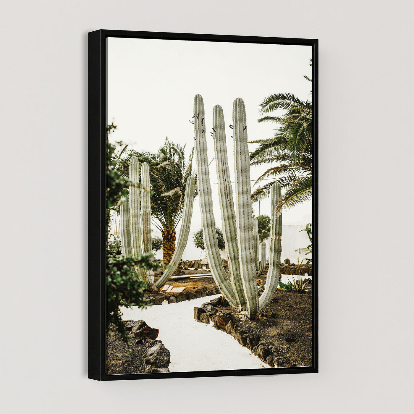 10167832-MGV-CV-24X36 - Cactus Garden Lanzarote Spain Wall Art Canvas Print - Cesar Manrique Desert Oasis Painting