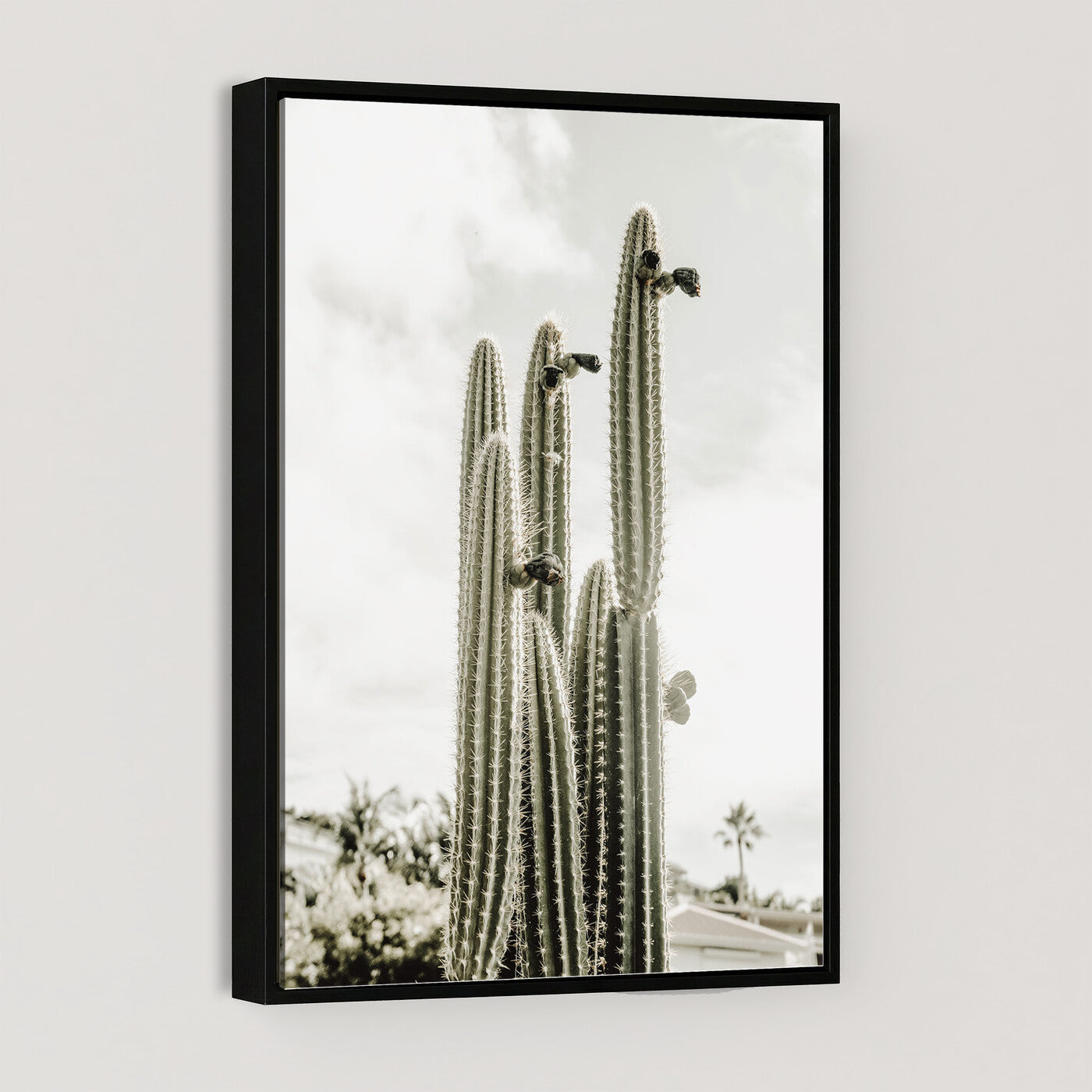 79942620-MGV-CV-24X36 - Tall Saguaro Cactus in Desert Sun Wall Art Canvas Print - Minimalist Boho Botanical Decor