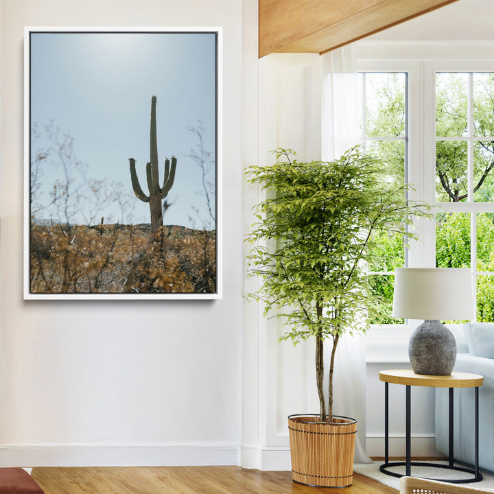 Saguaro Cactus Wall Art Canvas Print