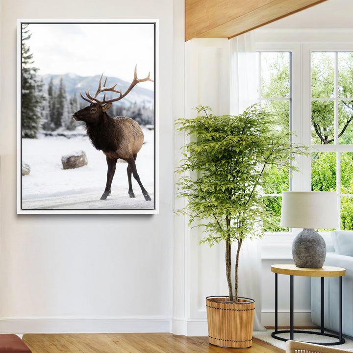 Elk Photography Wall Art Canvas Print, Framed Winter Wildlife Art Picture Print, Snowy Mountains Perfect Rustic Cabin Decor Decor Artwork