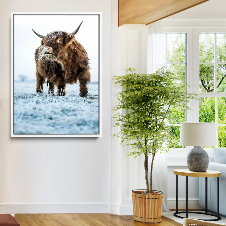 Minimalist Scottish Highlang Cow Wall Art Canvas Print for Farmhouse / County Style Art Print for Living Room - Office Decor