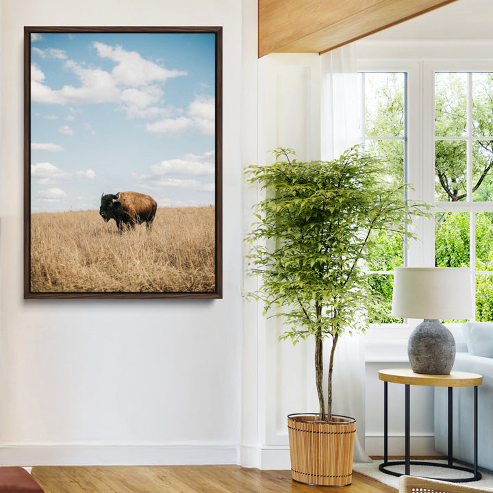 Bison Photography Wall Art Canvas Print: Framed Western Landscape Art