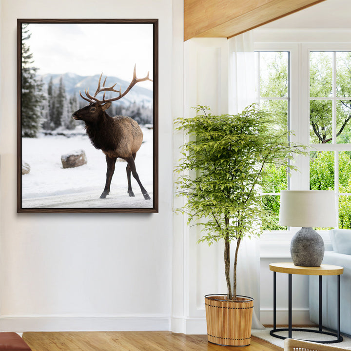 Elk Photography Wall Art Canvas Print, Framed Winter Wildlife Art Picture Print, Snowy Mountains Perfect Rustic Cabin Decor Decor Artwork