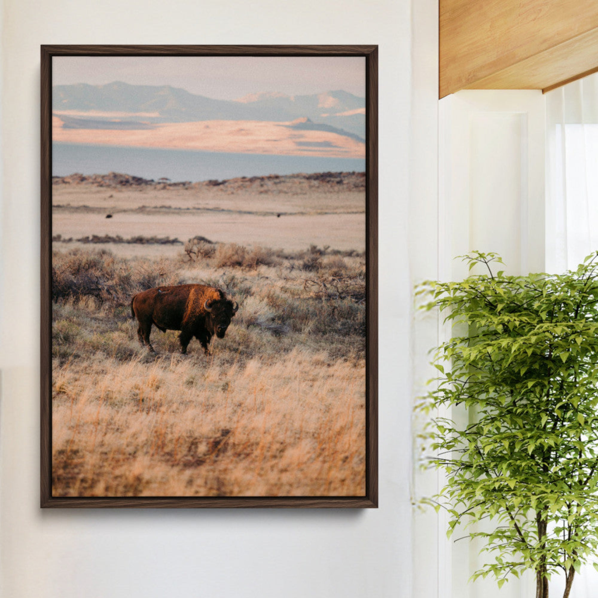 -Solitary Buffalo Wall Art Canvas Print – Framed Golden Prairie Scene Earthy Tones Rustic Nature Artwork for Home Office